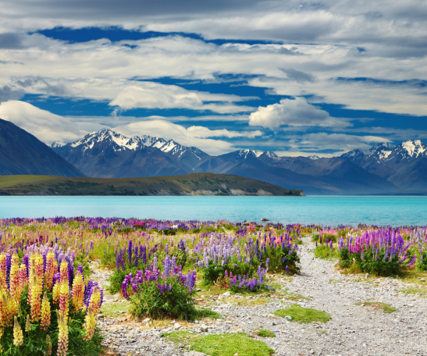 Family Travel Insurance - New Zealand