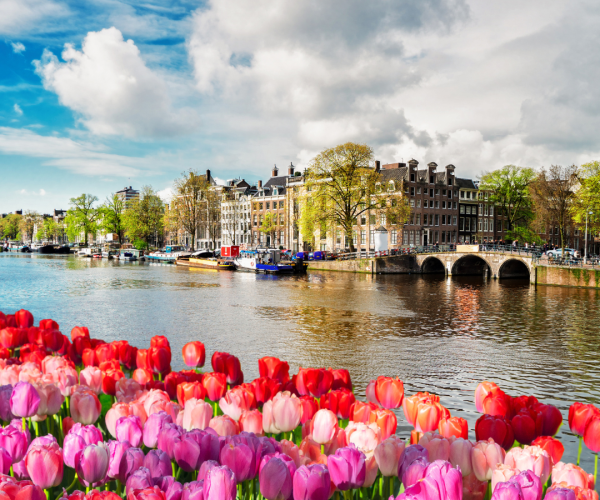 Group Travel Insurance - Amsterdam, Netherlands