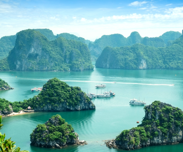 Single Trip Travel Insurance - Vietnam